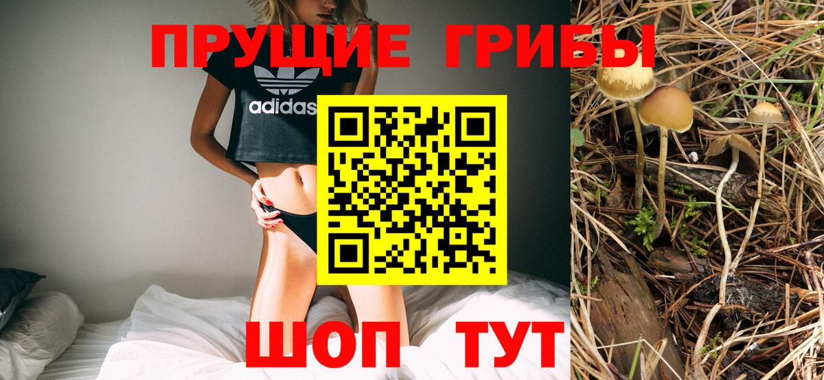 Псилоцибиновые грибы прущие грибы  Вход с VPN  Курчалой 