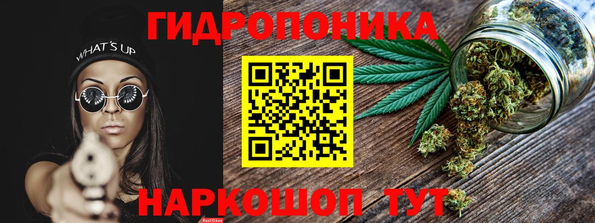 Курчалой  Бошки марихуана OG Kush  Вход с VPN  Шишки марихуана марихуана  Канабис сатива 